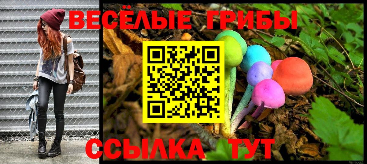 Псилоцибиновые грибы Magic Shrooms  Вход с VPN  Владикавказ 